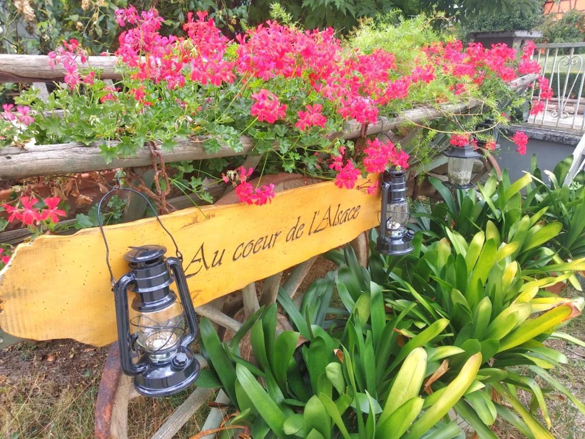 에쇼 Au Coeur De L'Alsace 빌라 외부 사진